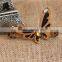 MYLOVE brown butterfly barrette women hair clip