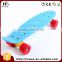 70kgs Top ABS Deck Material OEM Fish Shape Skateboard