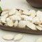 Snow White Pumpkin Seeds , Pumpkin Seeds in Shell