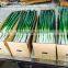 fresh green Chinese long onion