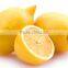 Factory Bulk-supply High-quality spray-dried lemon fruit powder Citrus Aurantium L. powder for food and beverage