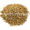 AJOWAN SEED 20% OIL