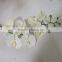 SJ20170048 China Wholesale Factory Price Silk Dance Orchid for Indoor Decoration Cheap Silk Dance Orchid