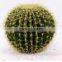 Indoor & Outdoor Decoration Artificial Ball Cactus