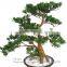 wholesale artificial home bonsai tree for sale live cypress tree