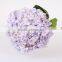 Top Selling Fresh Cut Flower Hydrangea Natural Flower For Mother's Gift Decorations Wholesale From China