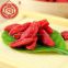 Ningxia dried goji berry sweet taste