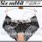 Women's Retro Chic Hi-Cut Brief Pant Lady Underwear Sexy Photo