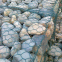 Welded forms gabion mesh gabion box reno mattress