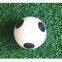 Six Dots novelty golf balls/Tour golf ball/Novelty golf balls