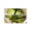 Organic dried lemon leaves/Hot sale dried lime leaf/Cheap price lemon leaf with good price from Vietnam