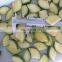 Sinocharm Healthy, fresh and delicious IQF Zucchini  Green Zucchini  Frozen Zucchini
