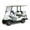 motorized golf cart with curtis eve conversion kit