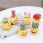 Amazon Cute Emoticons Indoor Artificial Faux Potted Variegated Plants Haworthia Succulent Cactus Plants Potted Bonsai