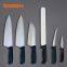china knives factory for knife sharpening grinding rental exchange services grinders such as Nella Omcan Quantum knives with slant tangs hollow grind for chefs and butchers by Bolex Cutlery China