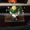 Acrylic serving tray/clear acrylic meal tray/flower display tray