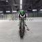 NEW design moto,2016 EEC tekken 250cc,green tekken,new moto,new dirt bike250cc.