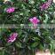 China wholesale 50x50cm artificial fake boxwood artificial carpet