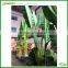 Decorative artificial banana tree/ fake plastic tree/ false pants