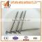 sharp diamond point flat round head polished common nail iron nail