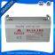 Wholesale 12V 100Ah Rechargeable Battery for Solar Garden Lighting
