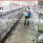  China Hot Sale Cheap Large Hight Quality Low Commercial Rabbit Cage