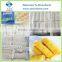 Chinese Vegetable Spring Roll Frozen