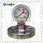 Type D-F Flanged Pressure Gauge for Oilfield