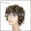 Brazilian virgin human hair wig Spring curl machine made wig color F430