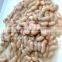 400G canned white kidney beans FDA HACCP factory supply directly