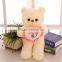 China Factory Newest Valentines Wholesale Custom Plush Stuffed Bear