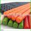 Food Safty Colorful Simple Plastic Melamine Chopsticks