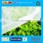 17gsm 3%UV Agricultural nonwoven fabric, PP Spunbond agricultural nonwoven crop cover