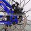Ebike New Model 26" 36 Volt Lithium Ion Battery Easy Rider Electric Bicycle for MTB