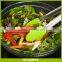 9" Salad Tongs / 12" Barbecue Tongs Stainless Steel Food Tongs with Silicone Tips for Extra Grip