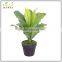 hot sale artificial decorative plastic birdsnest fern plant bonsai