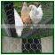 1/2'',1/4'',3/4''hexagonal wire mesh/chicken wire /hexagonal wire netting