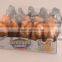 SK-N047 Grenade toy bottle dipping candy