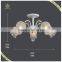 Hot Sale E14 Glass Shade Ceiling Lamp 5 Lights, Certificated Ceiling Lamp