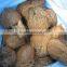 indian coconut wholesalers