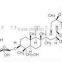 GMP Certified Factory Supply Natural Gymnemic Acid