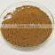 GMP manufacturer supply natural and Top Quality Reishi Mushroom Extract