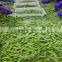 Chinese Grade A quality best sale market price iqf Edamame
