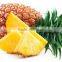 import dried fruit dried Pineapple dried dragon fruit