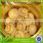 canned whole mushroom 314ml can mushroom