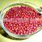 JSX for sale small red beans Grade A High Quality adzuki bean