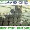 hot dip galvanized steel pipe from  website factory supplier
