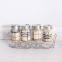 6pcs glass salt and pepper shaker with metal cap