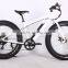 New design electric e bike 36V 10 AH battery 26 inch fat electric bike