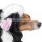 LIL' STINKER SKUNK Dog Halloween Costume, ALL SIZES, Casual Canine